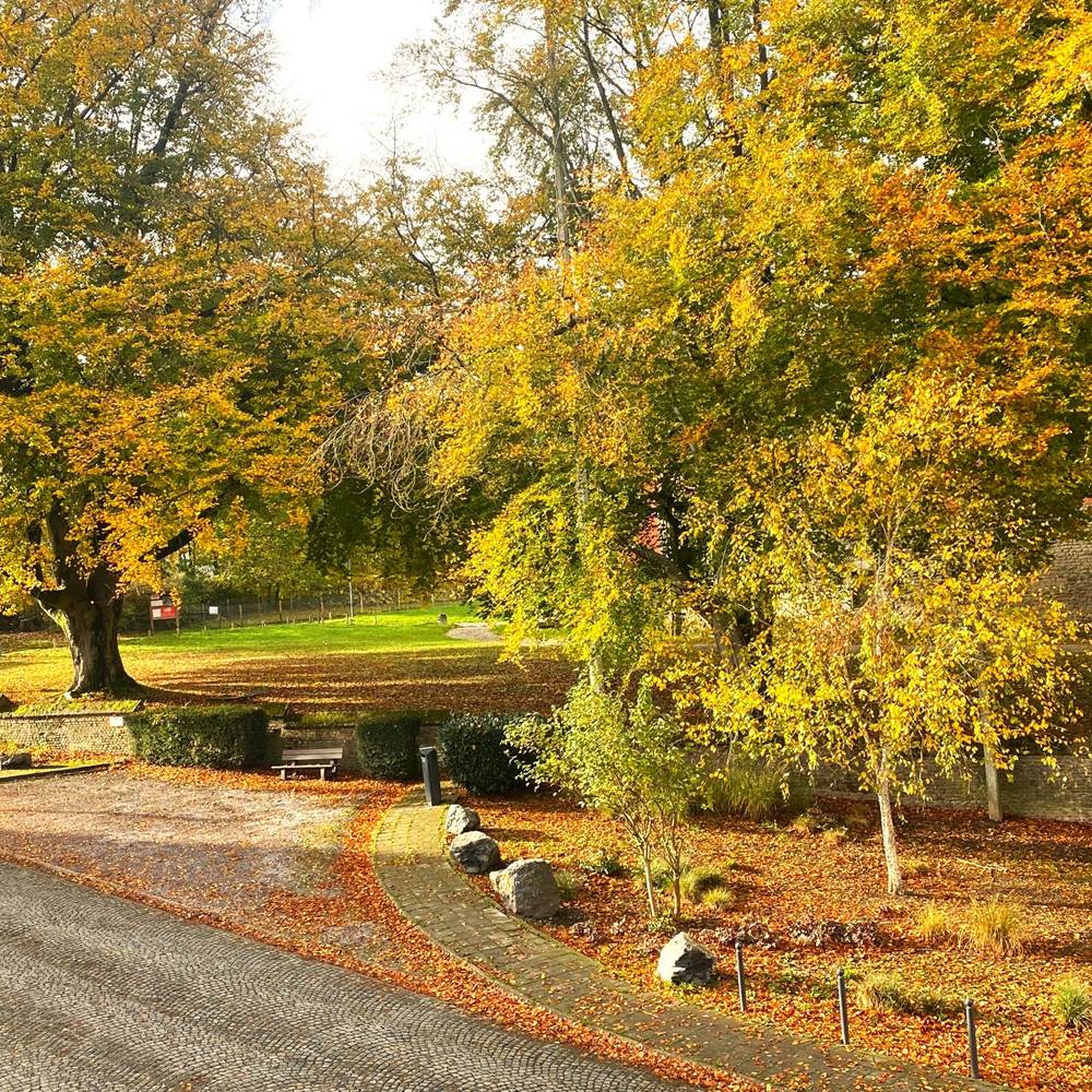 IMG_2243 (002)-presta