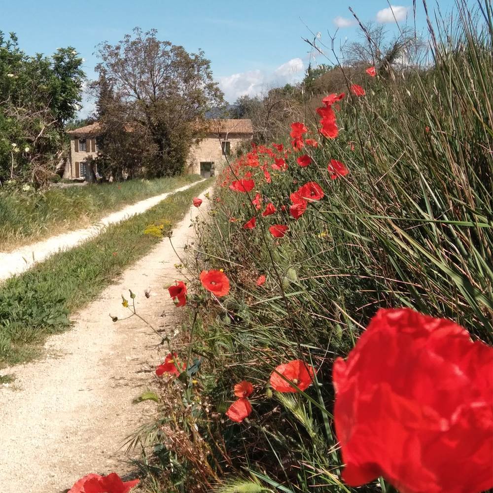 20230424_121013-presta