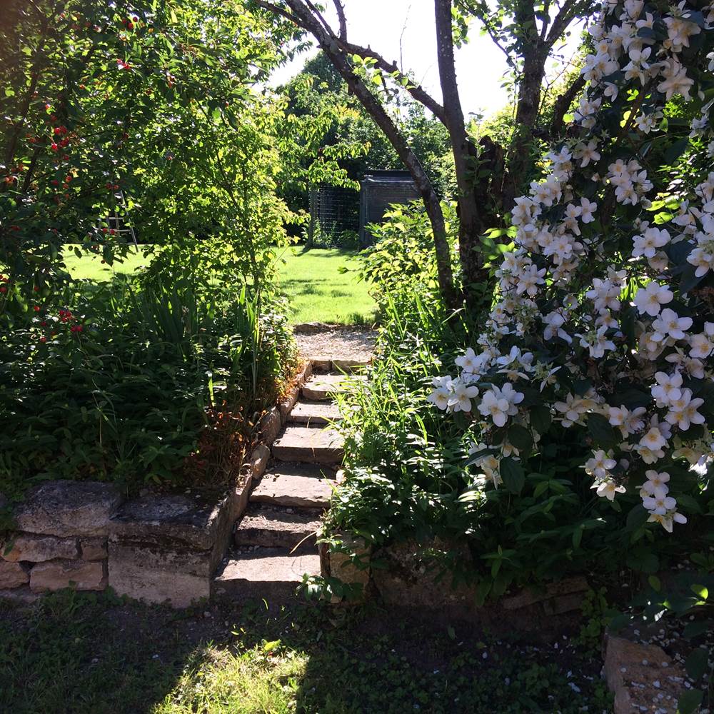 Détail jardin-gallery