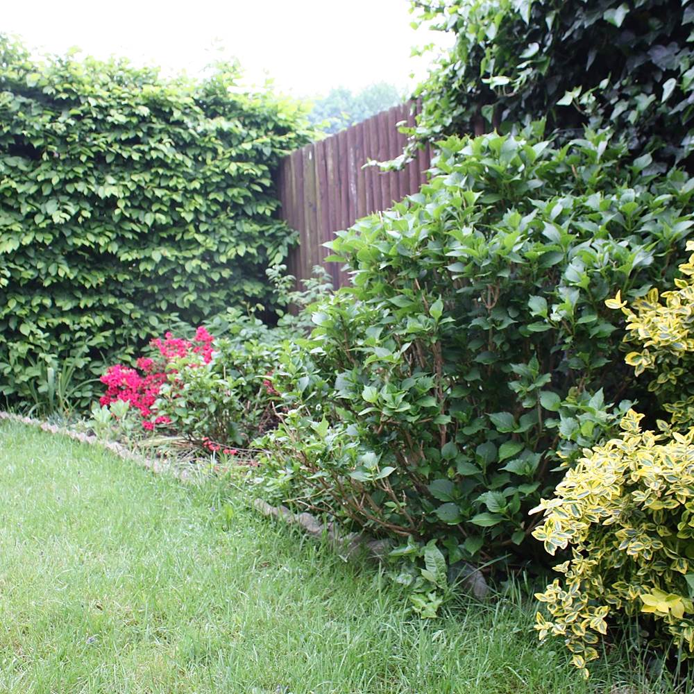 Jardin-presta