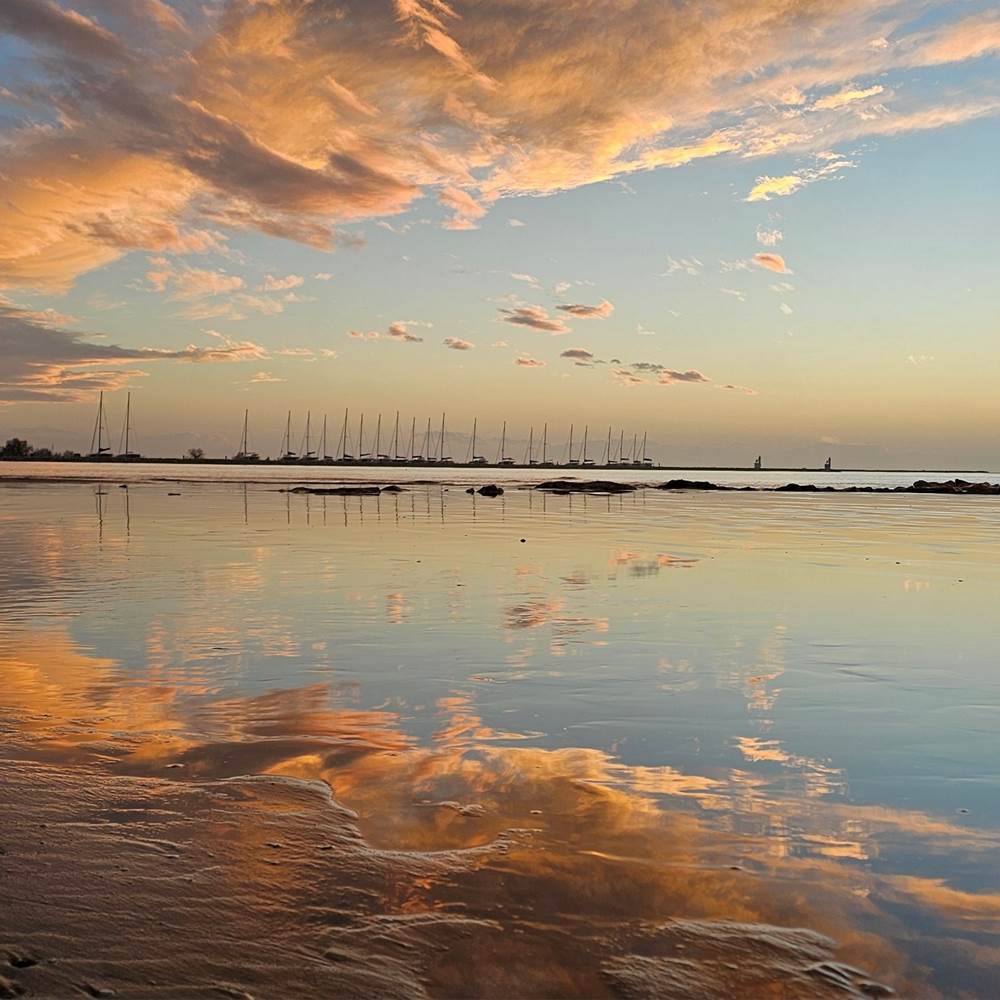 20250127_174735-presta