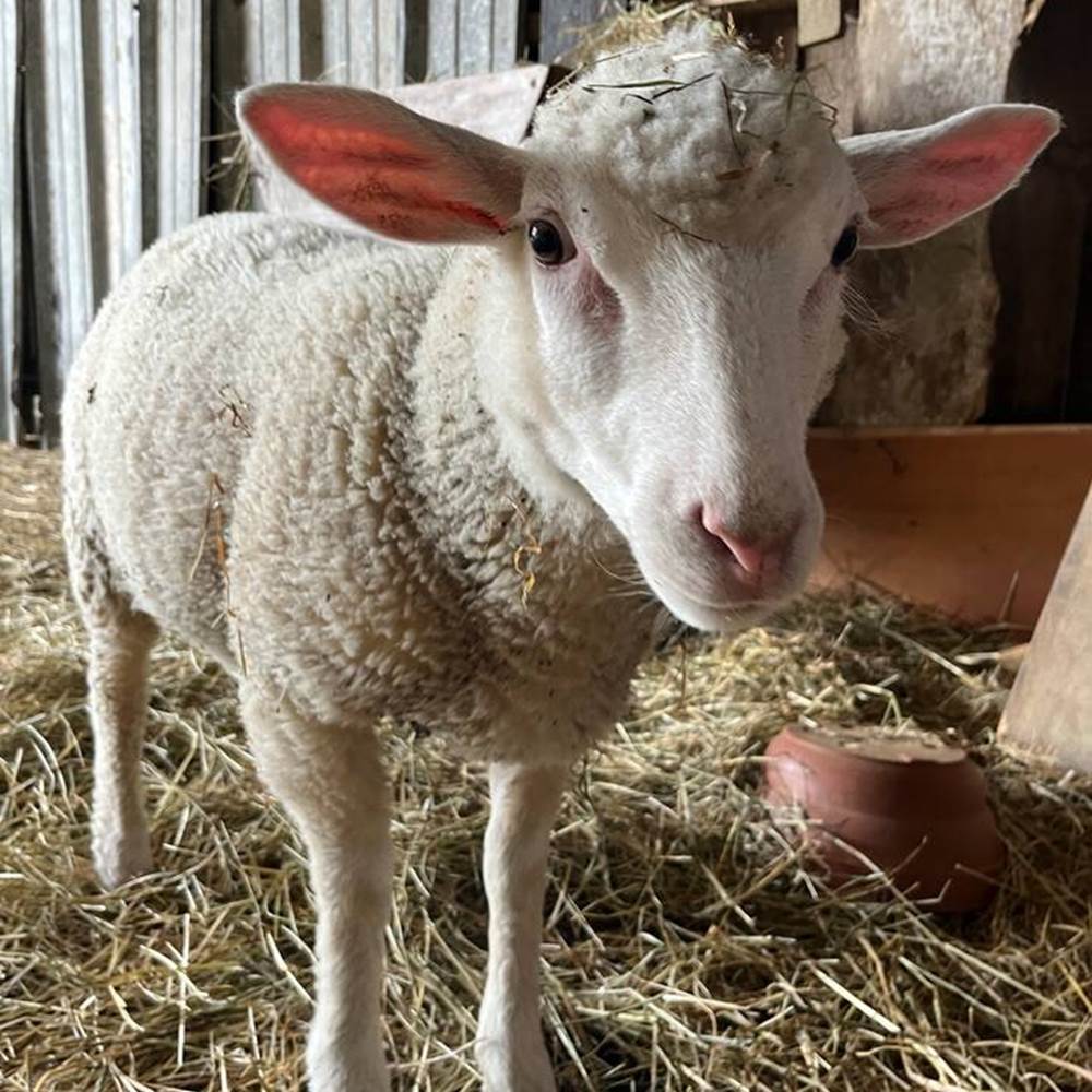 dad98ccd-3acd-4bcf-a7a9-b3b88c7810e2 2-galerie