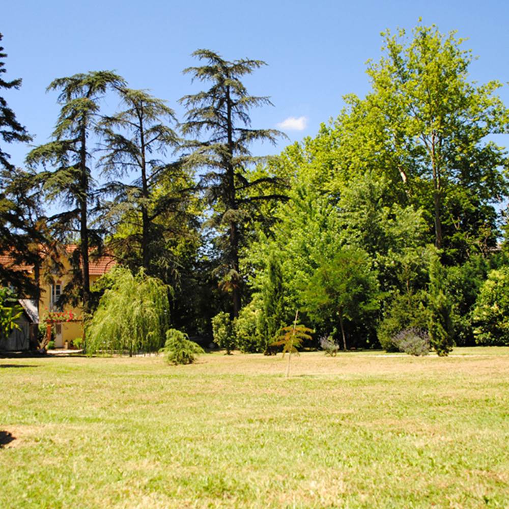 La maison vue du parc-gallery