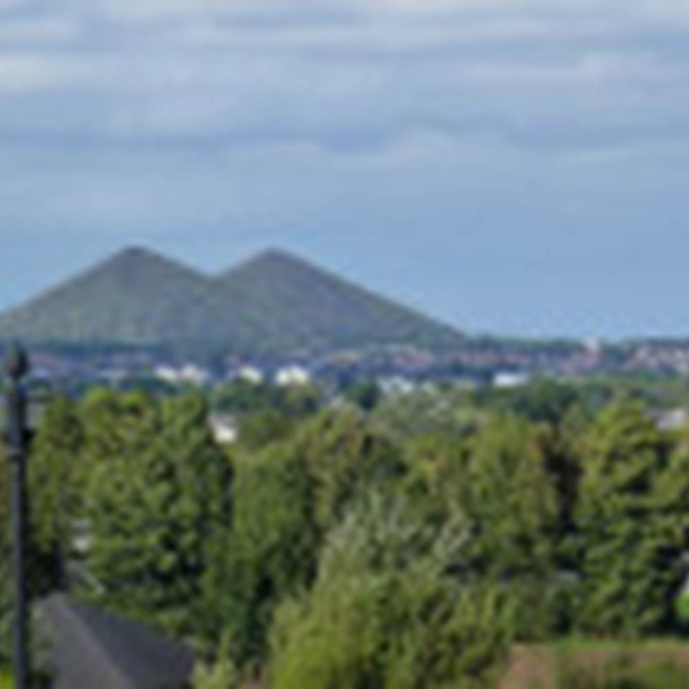 terrils jumeaux-presta