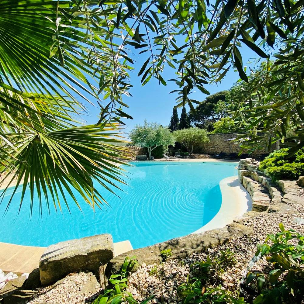 piscine et arbre
