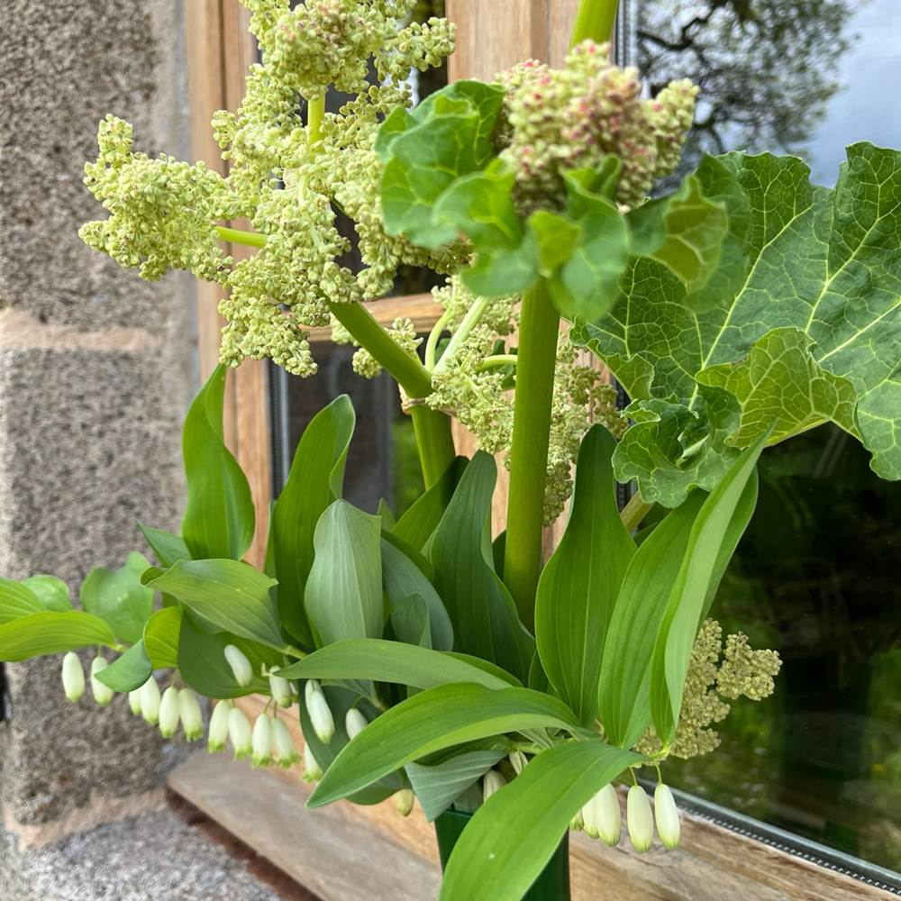 La marche des bois - Fleurs-presta
