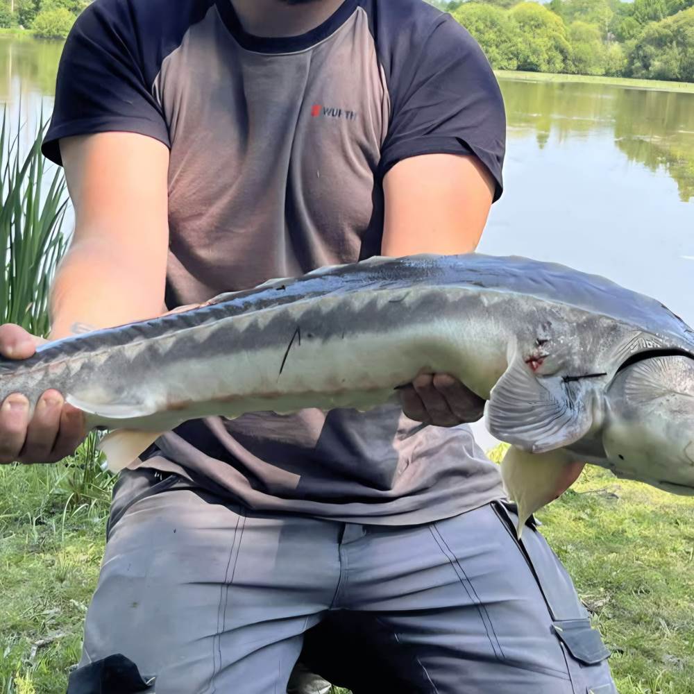 IMG_20250610_173801 (1)-presta