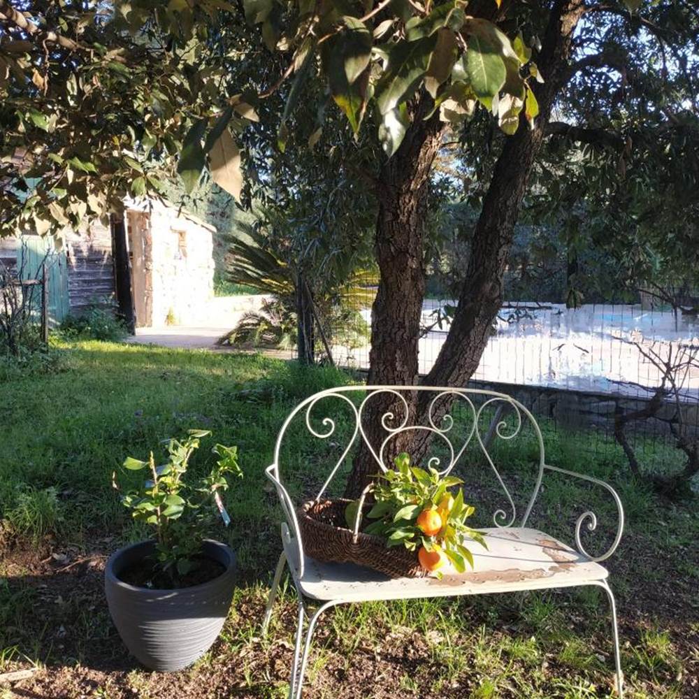 piscine-jardin-la-vie-en-couleurs-var.jpg