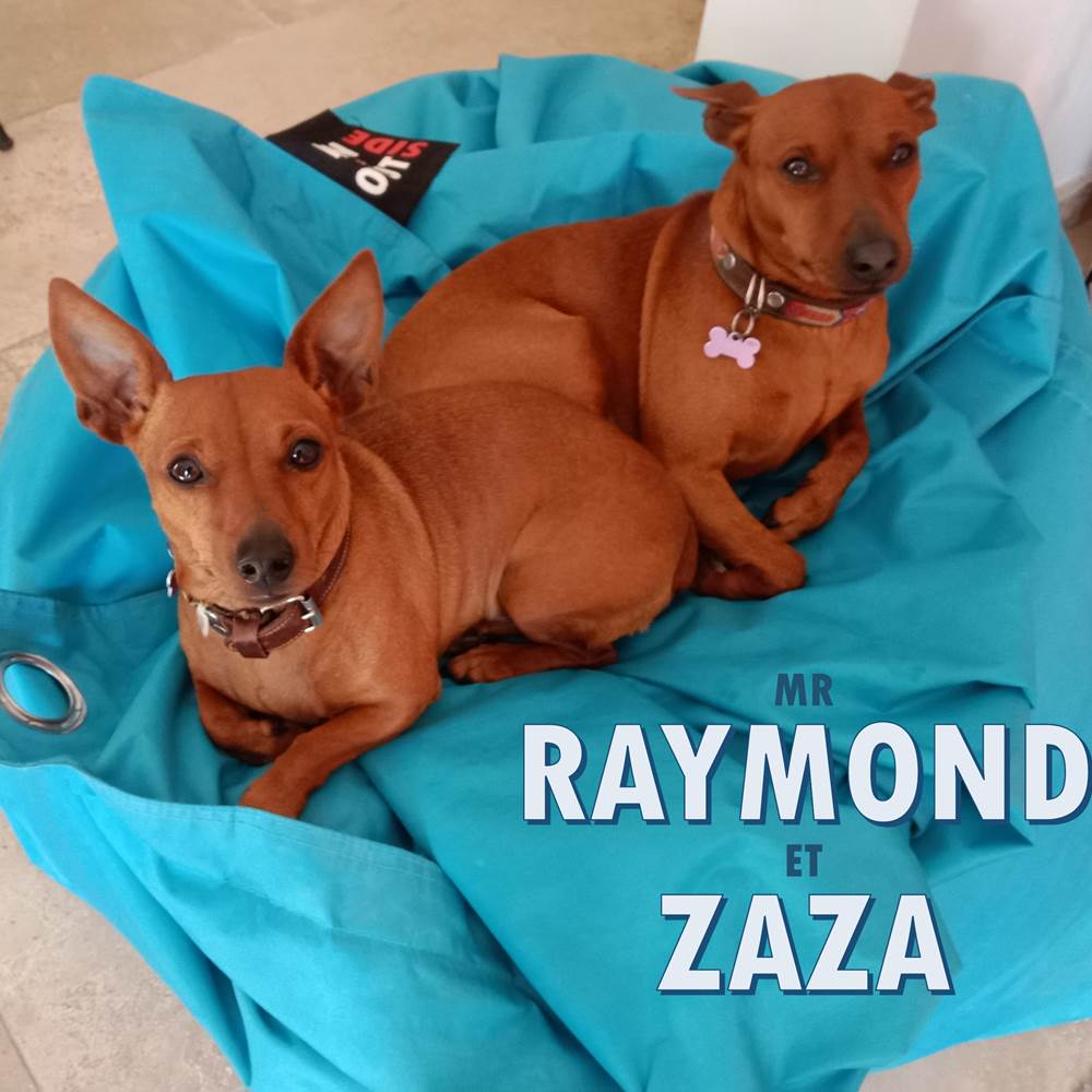 RAYMOND ET ZAZA-presta