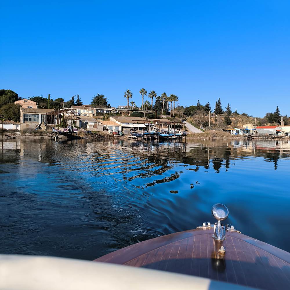 IMG_20250117_142030-presta