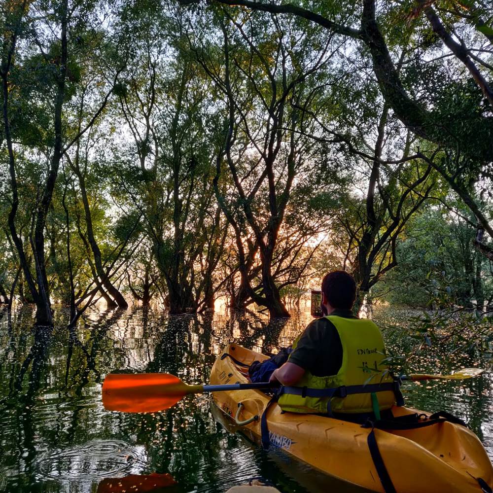 IMG-20210718-WA0031-presta