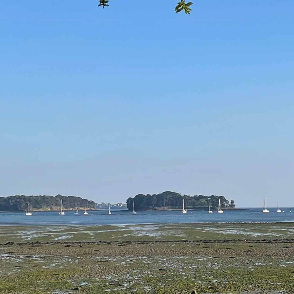 Golfe du Morbihan pointe de Locmiquel-gallery