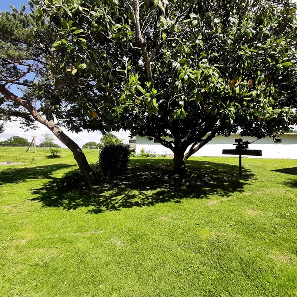 Parc arboré HORIZON DES LANDES DOAZIT
