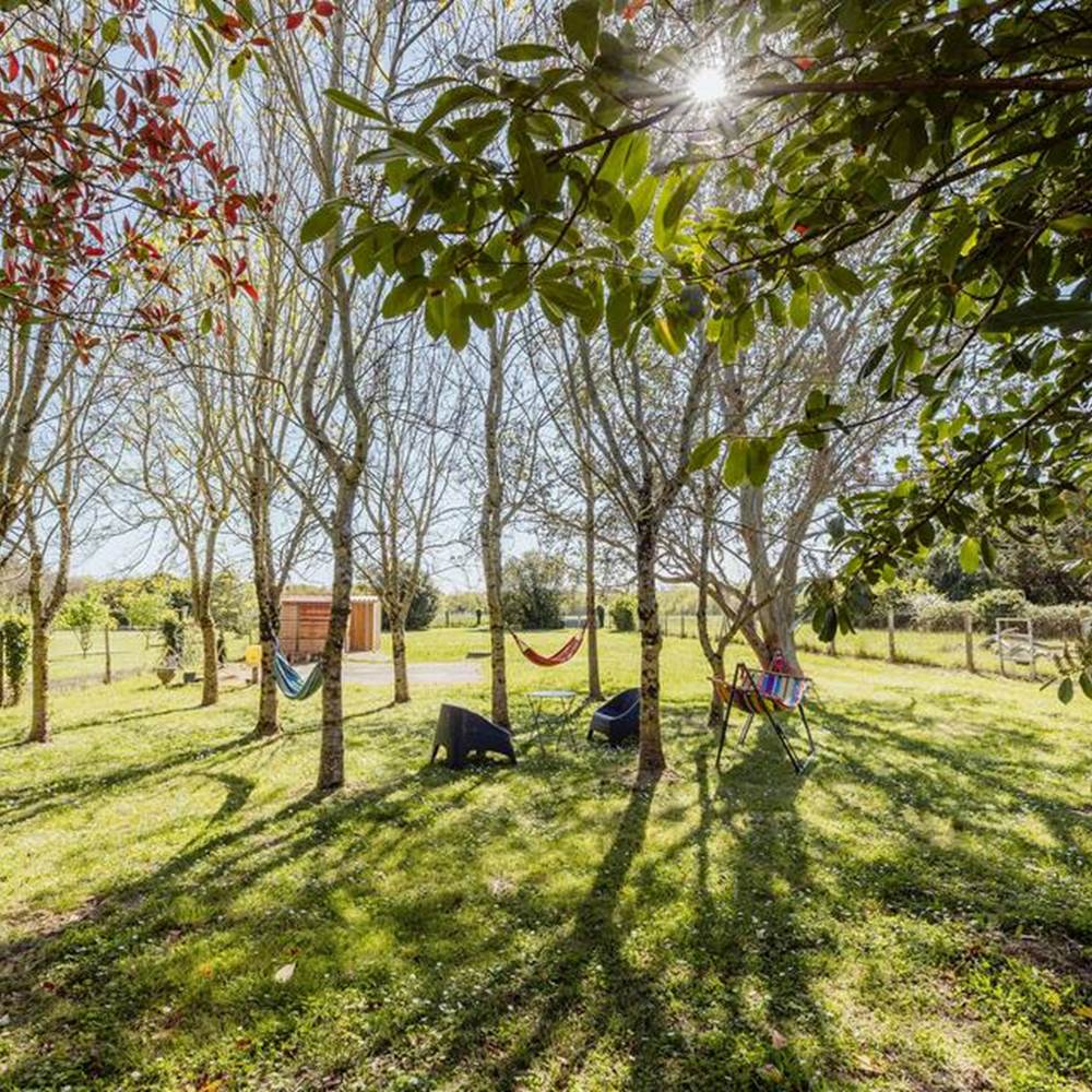 Espace extérieur calme et verdoyant – location vacances à Saint-Pierre-d’Oléron-gallery