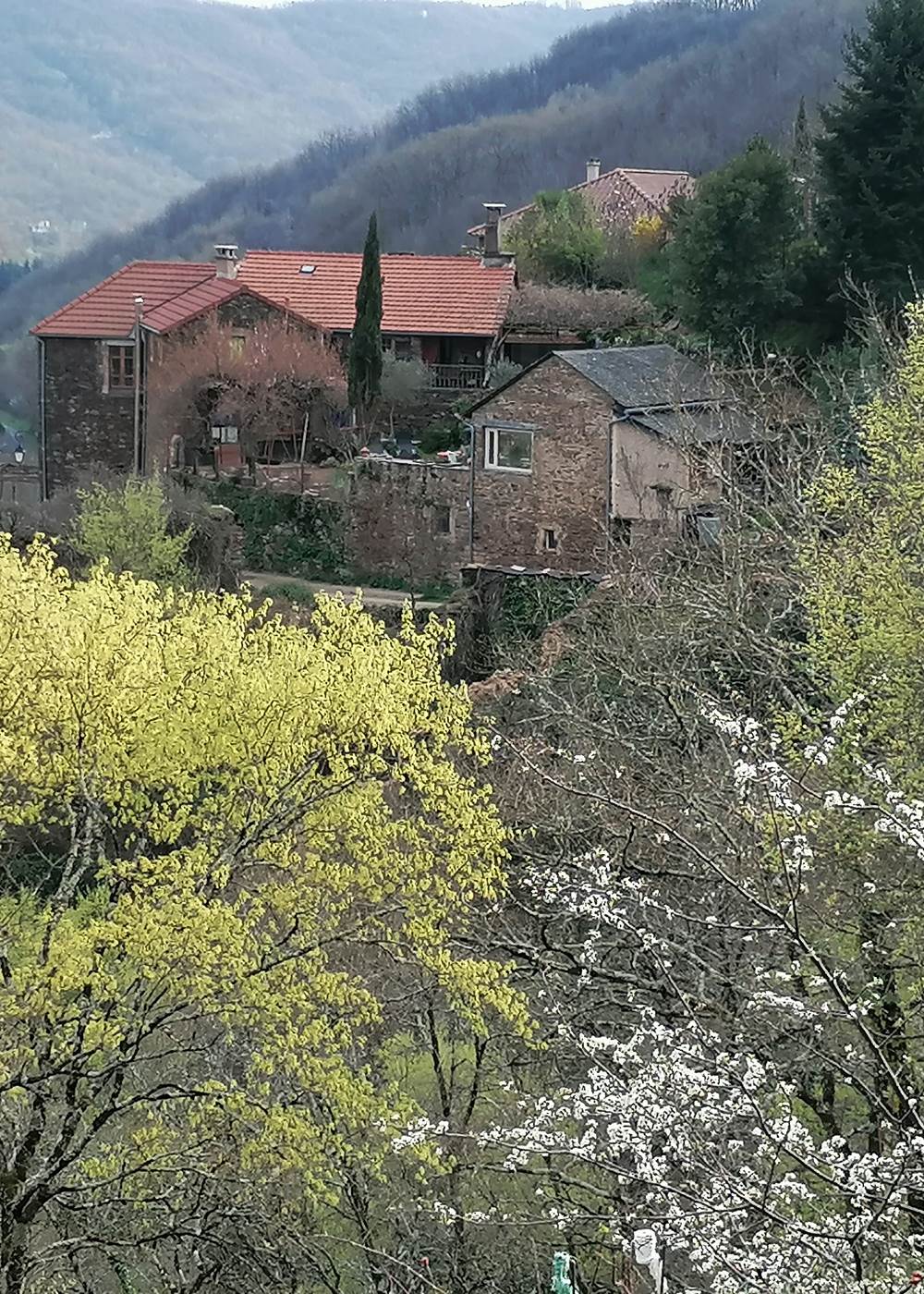 lajourdanie-printemps-galerie