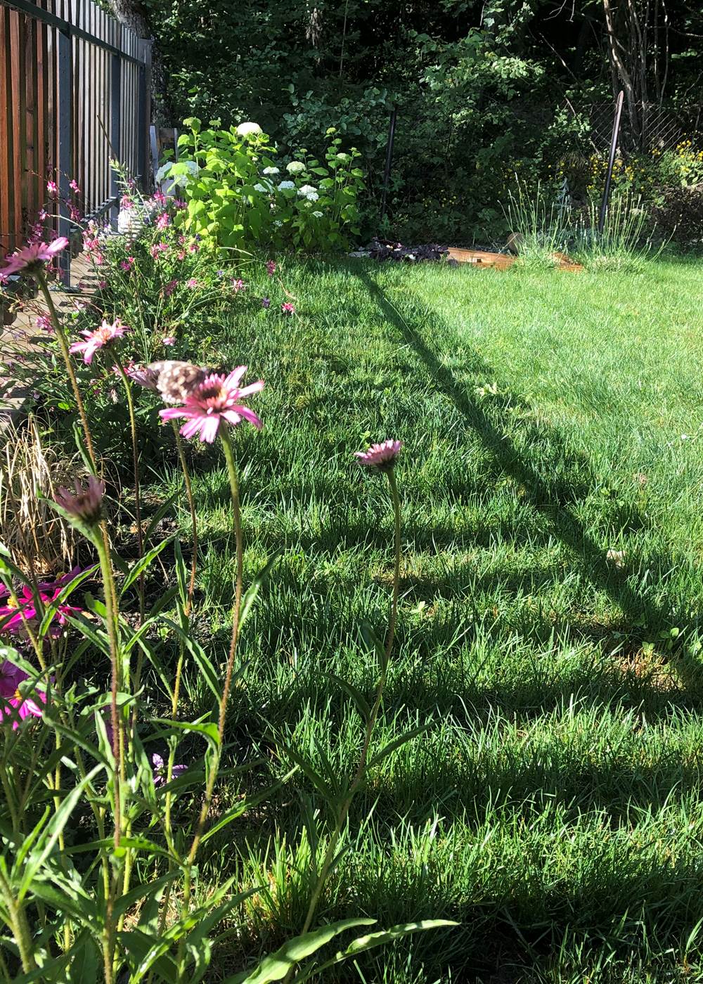 tempImagevBwzMQ-galerie