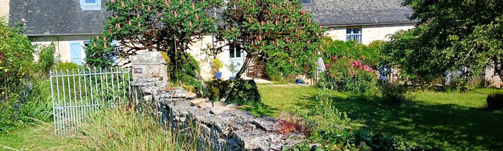 -bg-mentions-legales