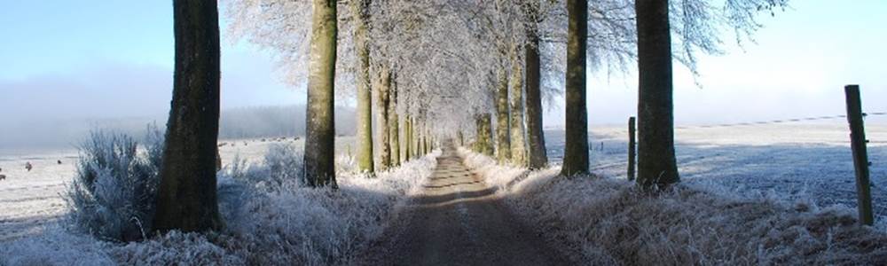 -bg-page
