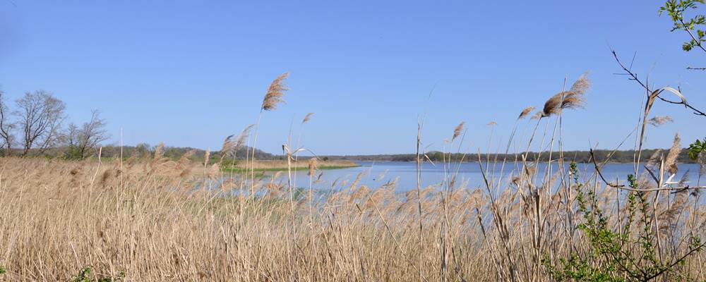 Etang de la Mer Rouge