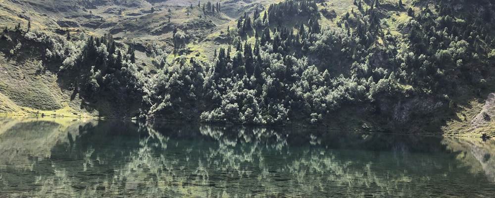 D5CF8F80-77D3-45D4-9A73-056C47B851B8