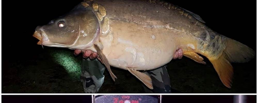 carpe 18 kg 590   avril 2019
