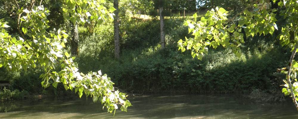 L'étang et vue sur le gîte