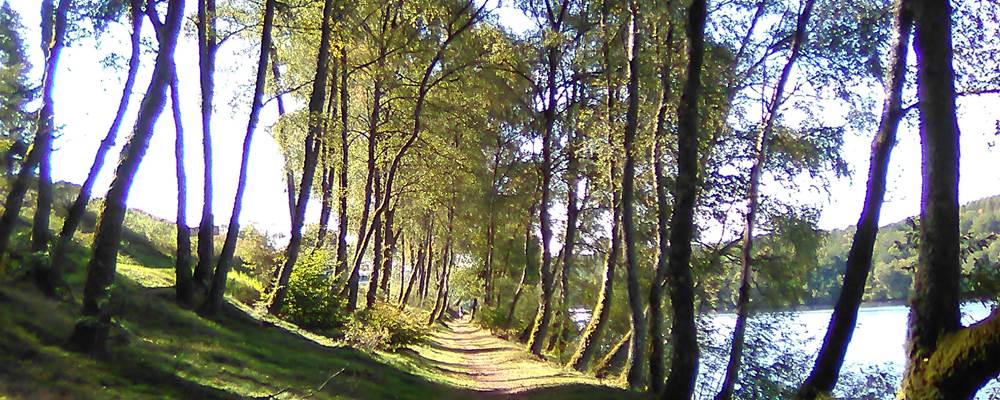 Sentier de rives à Nergout