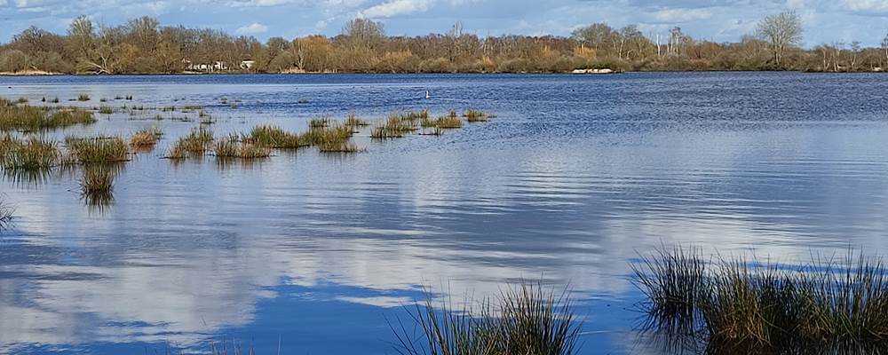 Etang de Brenne