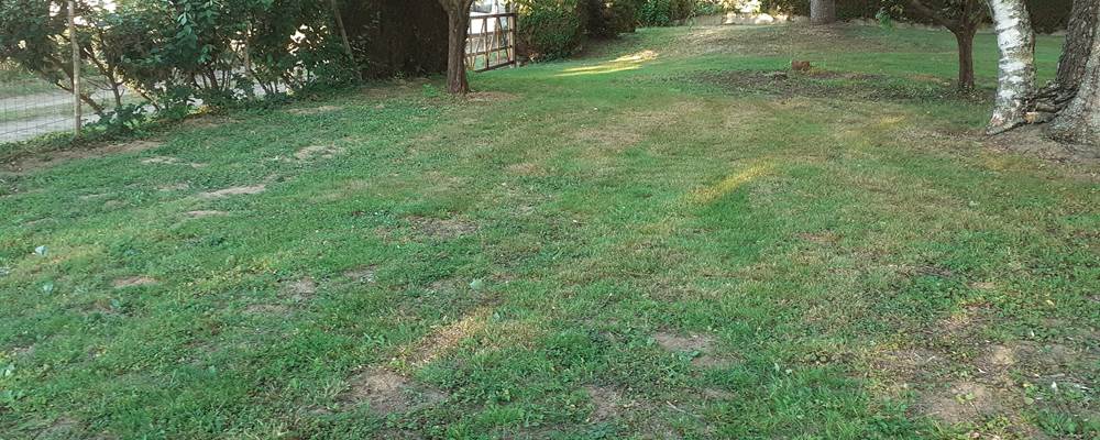 JARDIN PRIVATIF CLOS