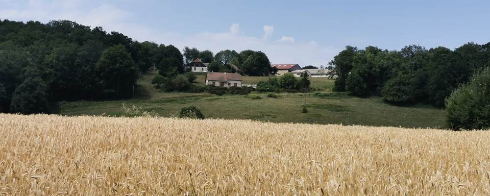 vue du gîte