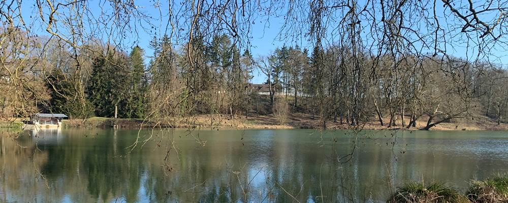 depuis le parc Jean Jacques Rousseau, on devine la Charmille