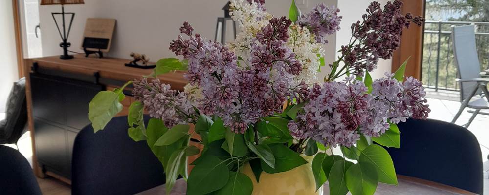 Printemps au gîte