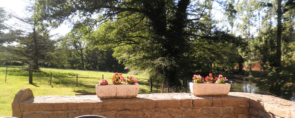 Vue sur l'étang depuis la terrasse