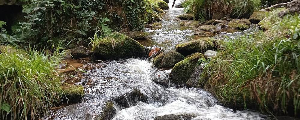 Cascades d'Augerolles