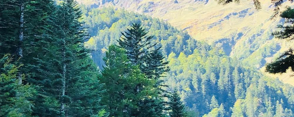 929DFD32-9F60-4CB0-9688-72ADE6786BB2_1_201_a