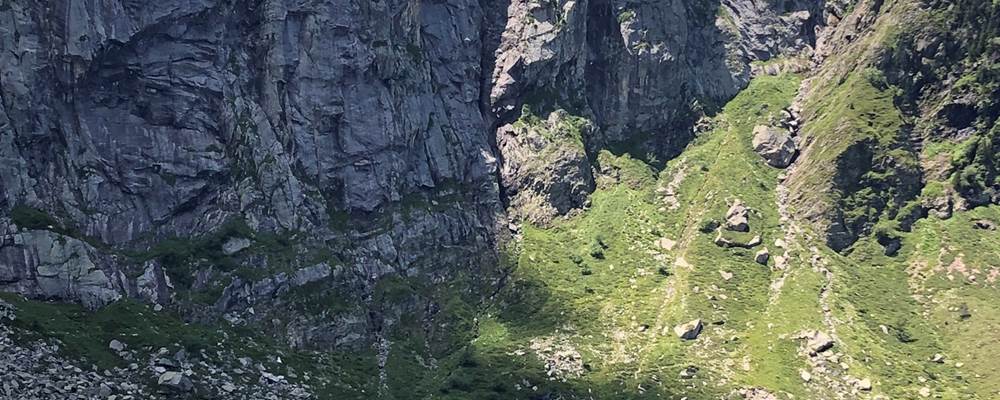 F1CFE6B2-86C9-41CF-85F0-BA1F9D835225