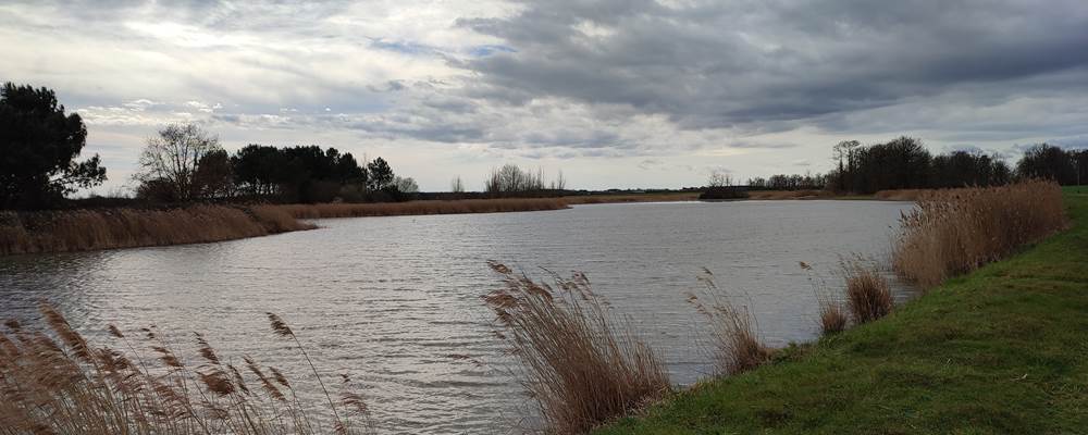 Etang de Brenne