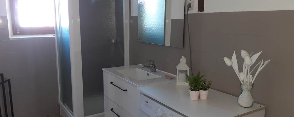 Salle d'eau (douche et WC)