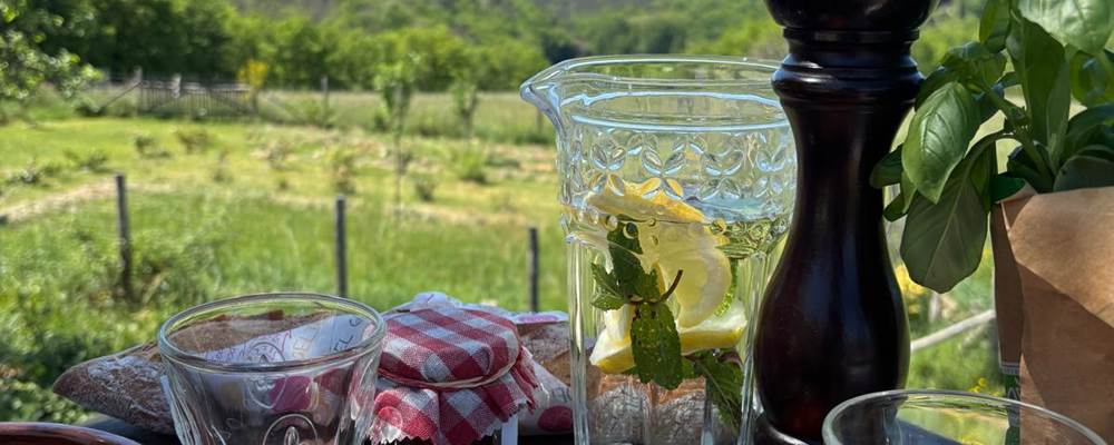 Les Volets Verts - de´jeuner au jardin