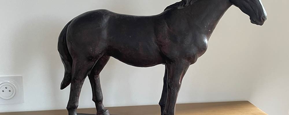 Le Pays d'Auge, terre du cheval