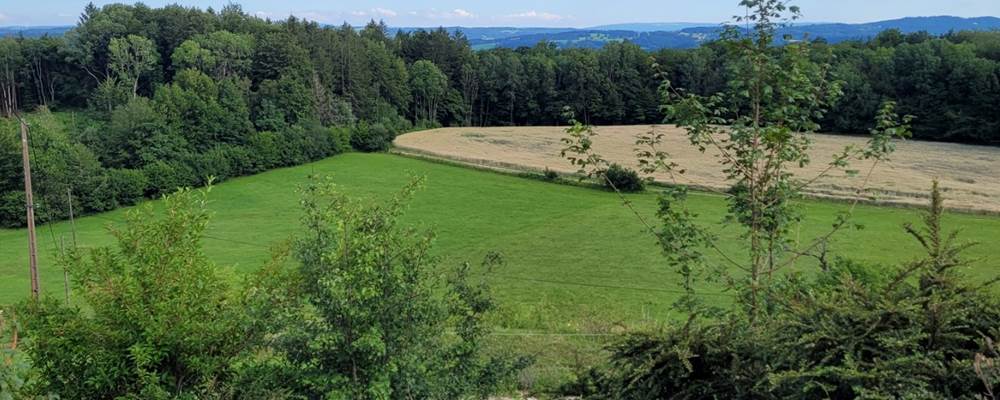 vue du gîte