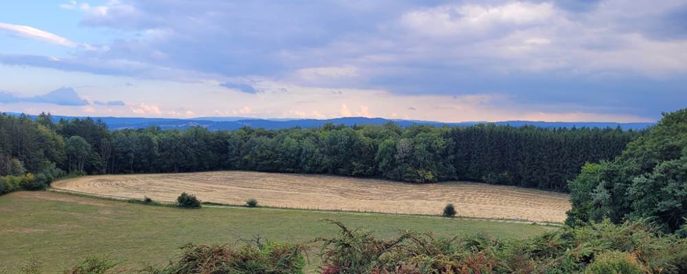 vue du gîte