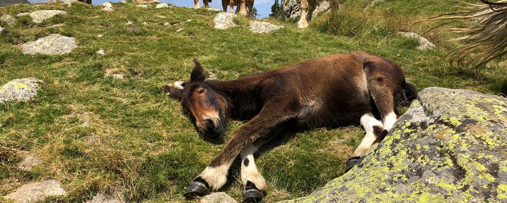 E689D516-A6AA-4239-8A3C-2CB05C17F959