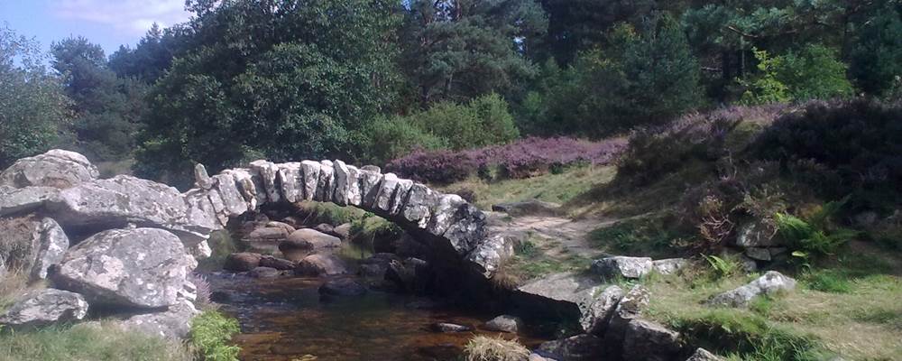PONT DE SENOUEIX