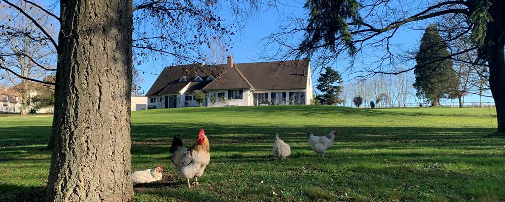 La Charmille: votre maison de campagne le temps d’un week-end : espaces, nature et calme, pour 15 invités.
