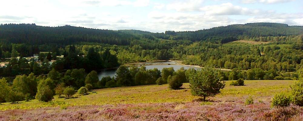 La lande du Puy La Croix avec vue sur le Lac
