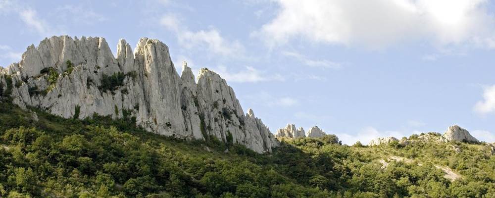Les dentelles de Montmirail