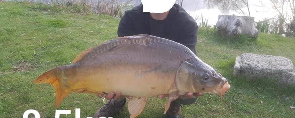 carpe 8 kg 500
