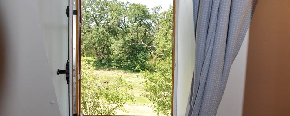 Vue sur le jardin depuis la chambre à 2 lits