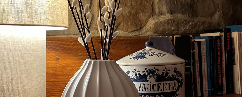 Décoration moderne en montagne